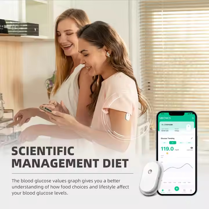Portable Home Continuous Glucose Monitor Painless Blood Collection With Small Bluetooth Transmission